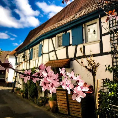 Hexenhaeuschen Dreieichenhain *