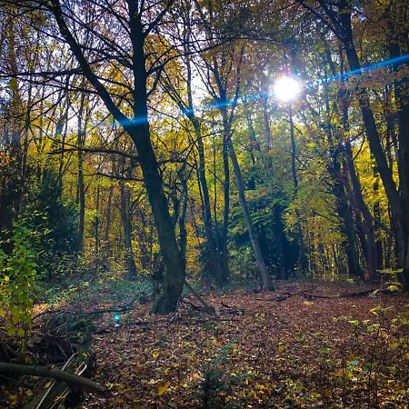 Hexenhaeuschen Dreieichenhain Daire