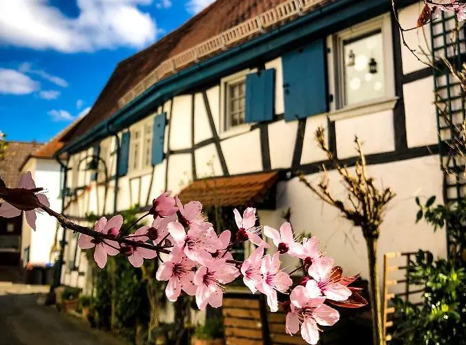 Hexenhaeuschen Dreieichenhain *
